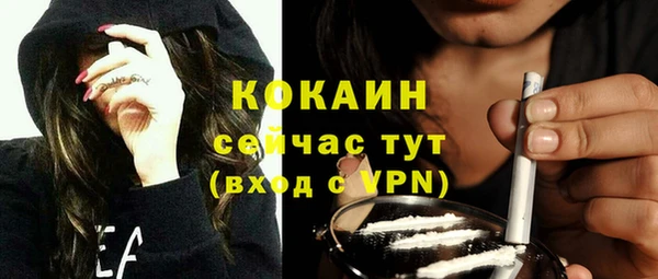 индика Алексин