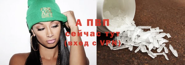 мяу мяу мука Абаза