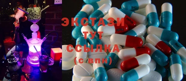 индика Алексин