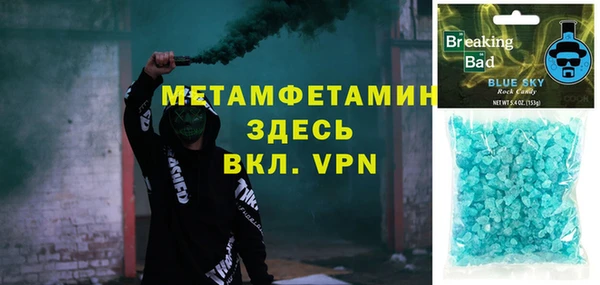 индика Алексин