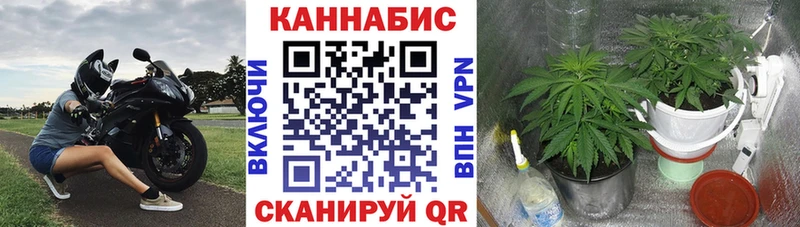 мориарти клад  дарнет шоп  Солигалич  Бошки марихуана Amnesia 